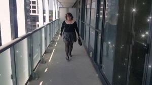 СЕРЕБРЯНАЯ БАБОЧКА В СЕРЕБРЯНЫХ ТУФЕЛьКАХ И СЕРЕБРЯН?