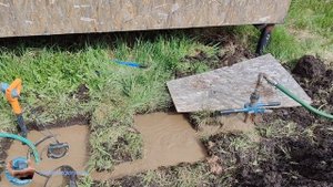 абиссинка Волхов разведка.mp4