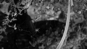 8201244-uhd_3840_2160_30fps
