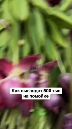 Легкие деньги на вайлдбериз! Или нет)