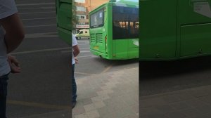 городской транспорт,остановка.city transport, stop.