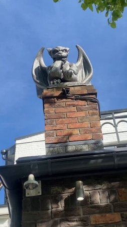 Ярославские гаргульи