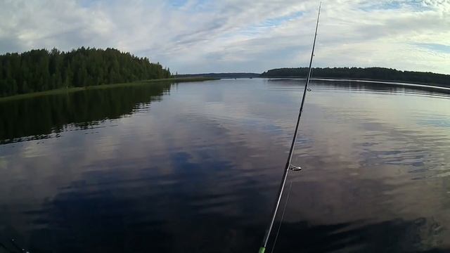 РЫБАЛКА В ВОЛОГОДСКОЙ ОБЛАСТИ 2024 ЧАСТЬ 2 смотреть онлайн