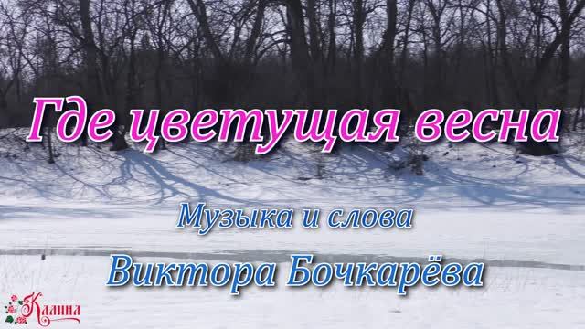 ПОЁМ ДЛЯ ВАС И ЛЮБИМ ВАС! Где цветущая весна? Ансамбль Калина! Russian folk songs... смотреть онлайн