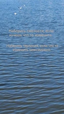 Согласны с цитатой?
