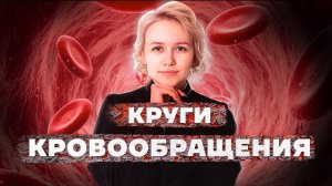 КРУГИ КРОВООБРАЩЕНИЯ | Кровеносная система человека | ОГЭ по биологии | Умскул