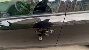 бесключевой доступ Starline s96 v2