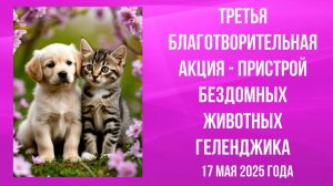 Геленджик, 17 мая 2025 года, третья благотворительная акция-пристрой бездомных животных