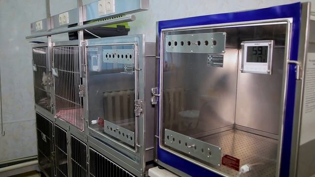 Айболит 04 18 смотреть онлайн