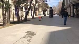 Влог//Первая прогулка моей собаки!//Карликовый пинчер)