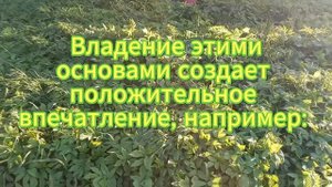Всё начинается с внутреннего согласия