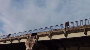 прогулка на дамбу Тихвина