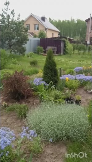Мой сад .Цветение в конце мая.Обзор.🌺🌺🌺#садоводство#загороднаяжизнь