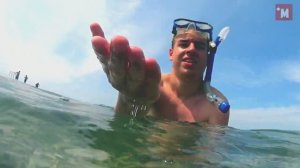Как выглядит черное море на 5 день после шторма. п.Небуг. подводная сьемка