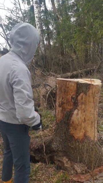 #хайп #пилим #лес смотреть онлайн