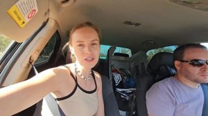 Забрали щенка той-пуделя по пути из Сочи в Москву