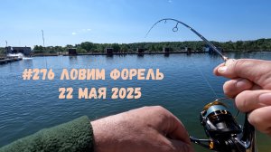 #276 Ловим форель 22 мая 2025