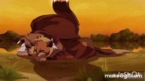 Коты воители:потерянный рай[ария]