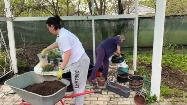 ДРУГ В САДУ НЕ БРОСИТ/ПОДРУЖКИ СПЕШАТ НА ПОМОЩЬ/ЛЕНА Г? смотреть онлайн