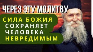 ЭТО СРЕДСТВО ПОЛЕЗНЕЕ УСПОКОИТЕЛЬНЫХ ТАБЛЕТОК! - Фаддей Витовницкий