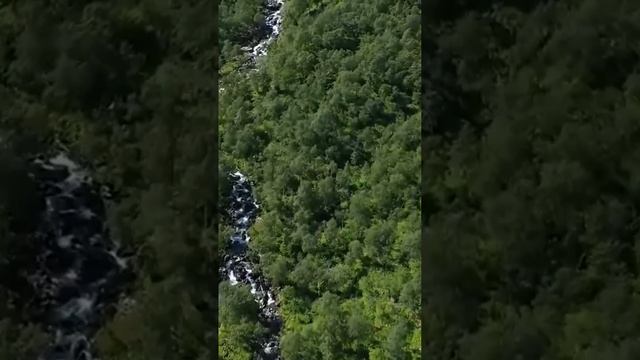 Мы дворяне! Тащи английский сервиз, да побыстрее - Возм