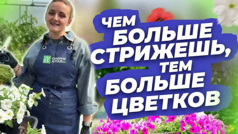 НЕ БОЙТЕСЬ СТРИЧЬ ПЕТУНИИ