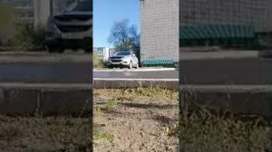 Дворник на работе. Забили канализацию. Белим клумбы. К?