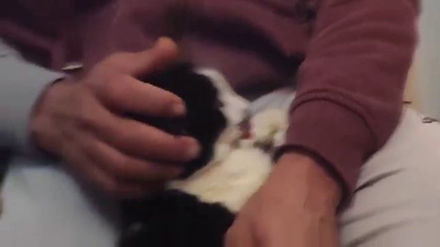 I only won the challenge for two days, not three .Я выиграл вызов только на два дня, а не на три смотреть онлайн