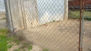 у Борисенка