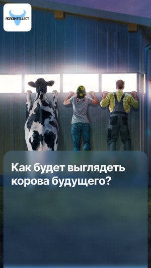 Как будет выглядеть корова будущего?