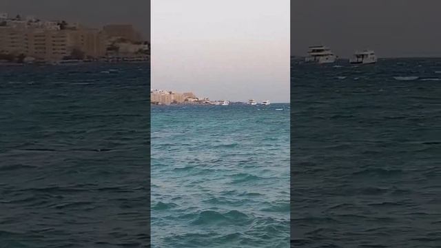 Sunny Days El Palacio Resort 2022г. смотреть онлайн