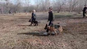 Групповое занятие, команда рядом, повороты на месте