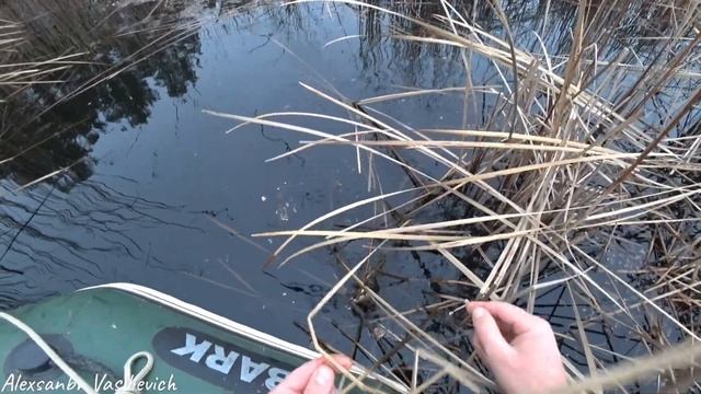 РАССТАВИЛ КРУЖКИ У КРАЯ КАМЫША И НАКОНЕЦ ДОЖДАЛСЯ..) смотреть онлайн