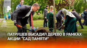 Патрушев высадил дерево в рамках акции "Сад памяти"