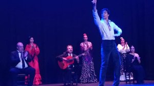 Фламенко. Мужской сольный танец - фанданго