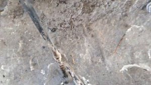 ЗАМЕНА САЙЛЕНТБЛОКОВ РУЛЕВЫХ ТЯГ АУДИ 80