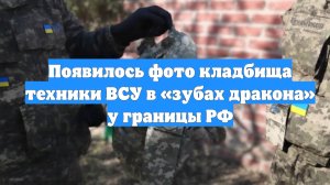 Появилось фото кладбища техники ВСУ в «зубах дракона» у границы РФ