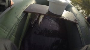 Рыбалка на кружки в Сентябре