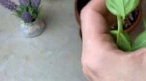 Быстрый Ужин из кабачков Вкуснейшая Запеканка на сковороде