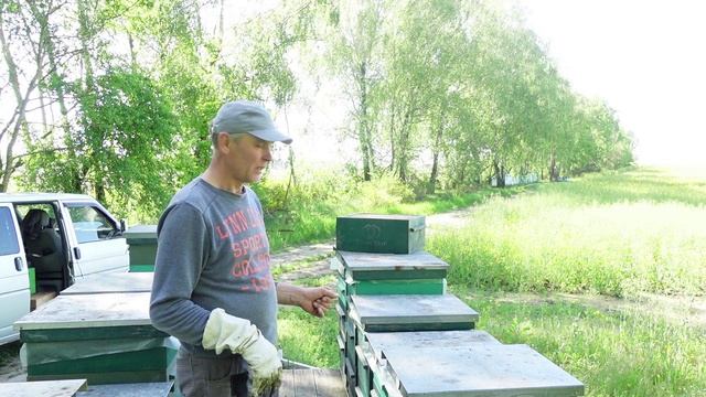 ОБЫЧНОЕ УТРО У ОБЫЧНОГО ПЧЕЛОВОДА смотреть онлайн