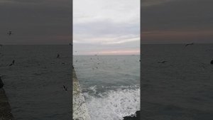 что представляет собой Притча