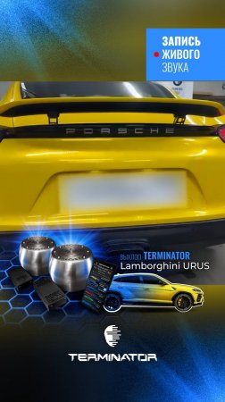 Porsche Cayman с выхлопом Urus, электронный выхлоп Terminator