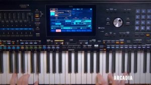 KORG PA 5X- CИНТЕЗАТОР. ПРОФЕСІЙНА АРАНЖУВАЛЬНА РОБОЧА СТА?