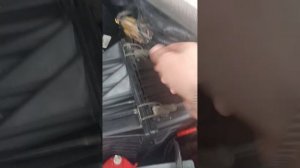 Форд эскейп# американец#замена фильтра воздушного и с?