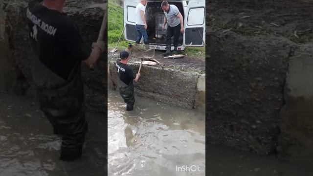 ОБЛОВ 🐟 Дальний кордон Кисловодск