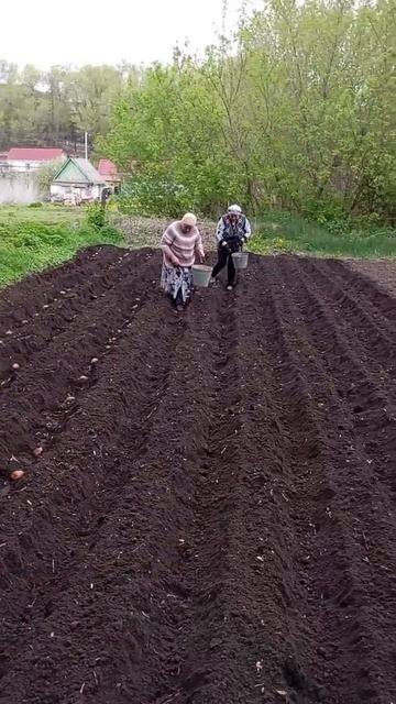 #выходные #село хороним чипсы смотреть онлайн