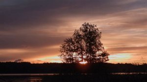 Русский язык. Иван Тургенев #стихи #поэзия #русскийязы