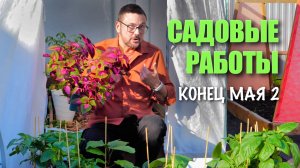 Люсю укусили 😱 фузариоз прощай 👋 новинка для кашпо 🌾 популярные гортензии 🌸 картошка от Редкэп