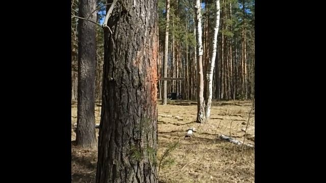 Метательные ножи Лидер. Хват за клинок.