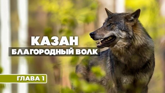 Казан, благородный волк. Глава 1